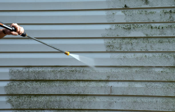 Best Pressure Washing Siding  in Horace, ND